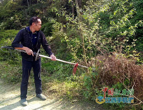 在吉水县阜田镇兴旺坑边的乡道上,常年能看到一个在修路补路,清理路旁