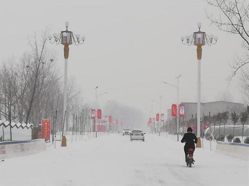 尉氏县岗李乡瑞雪行之靓丽掠影