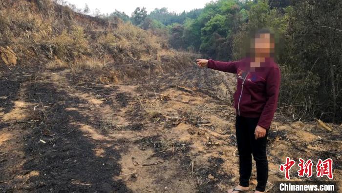 云南陇川：村民违规用火烧甘蔗叶烧毁45公顷森林